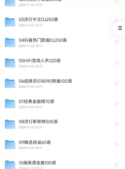 2024车载音乐U盘 【MP341GB)