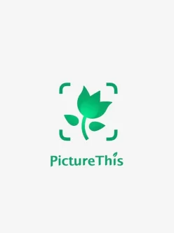 [Android] PictureThis - 植物识别器 5.0.14可识别不知名植物+养护技巧